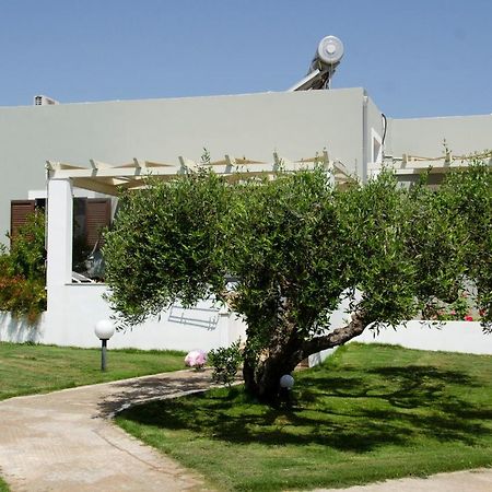 Villa Dimitris Palekastro Exterior foto